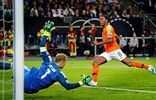 荷兰媒体最新爆料,揭秘某重大事件背后真相